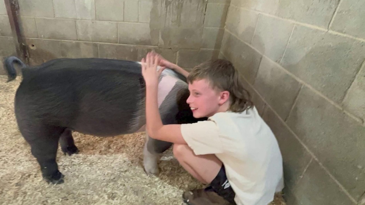 Jackson family seeks justice after boy's pig killed