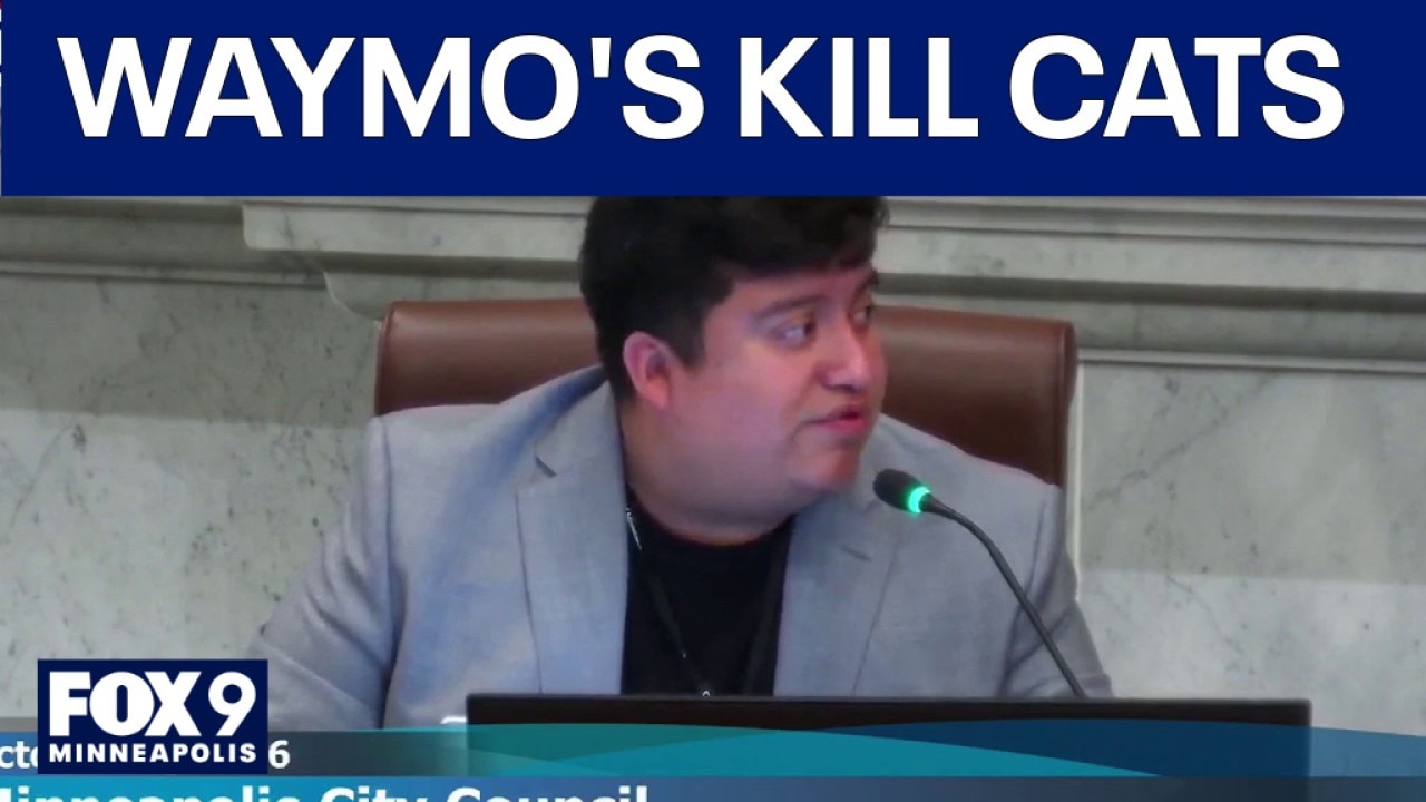 Minneapolis council member says driverless vehicles kill cats