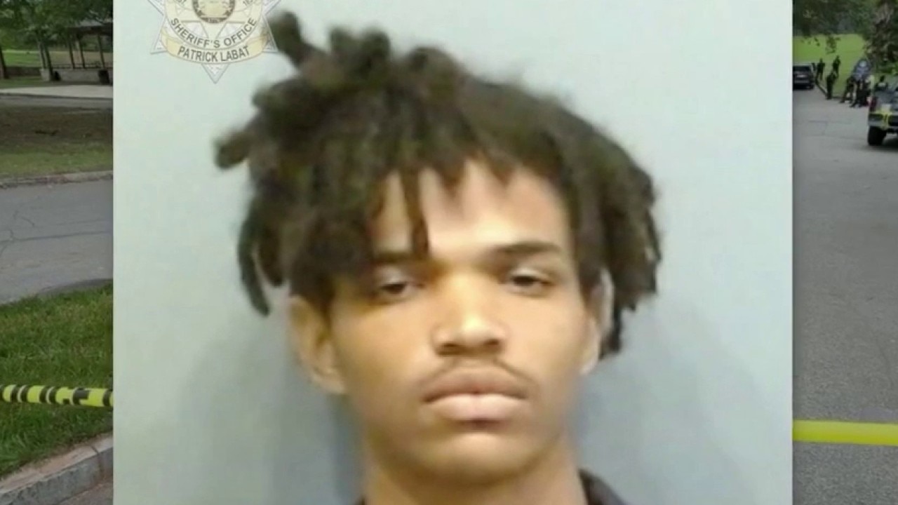 Convicted felon facing charges after park shootout