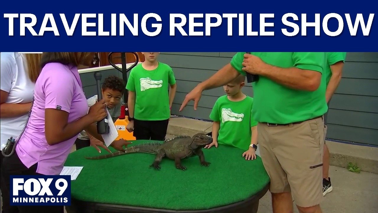 State Fair fun: Monty’s Traveling Reptile Show