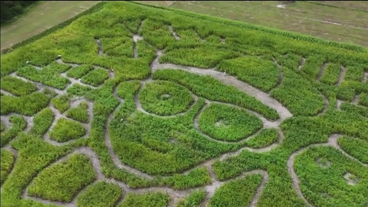 Drone Zone: Harvest Moon Fun Farm