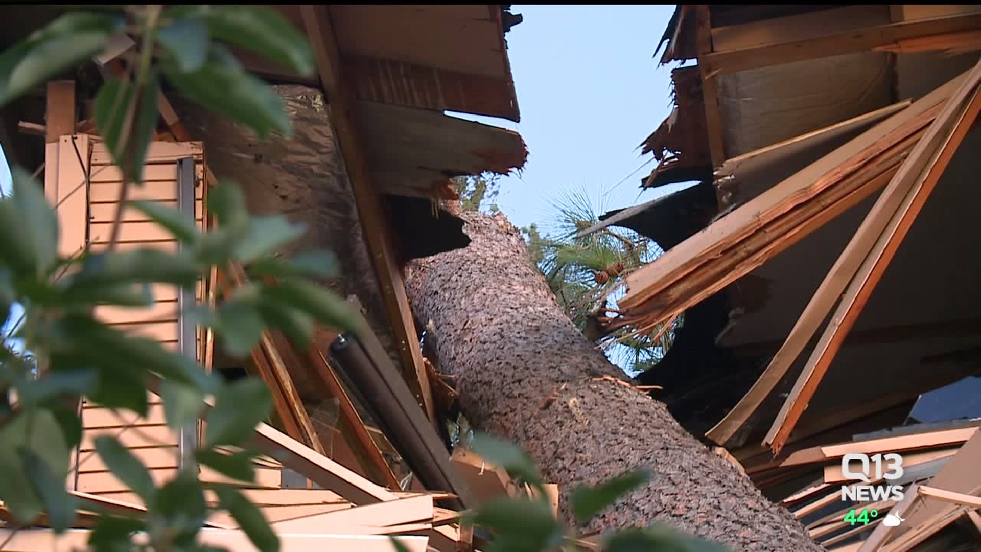 Tree falls on Mercer Island Home