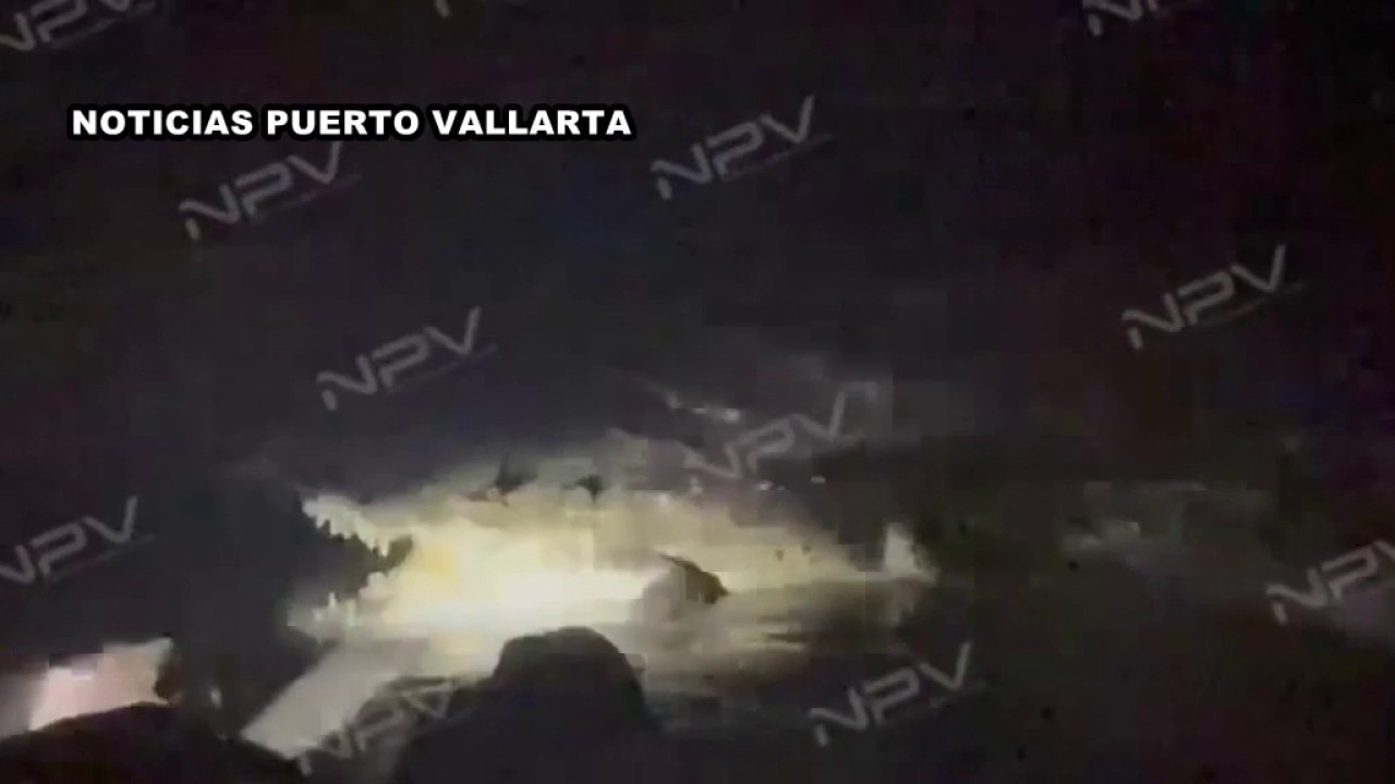 Crocodile kills man at a beach in Puerto Vallarta