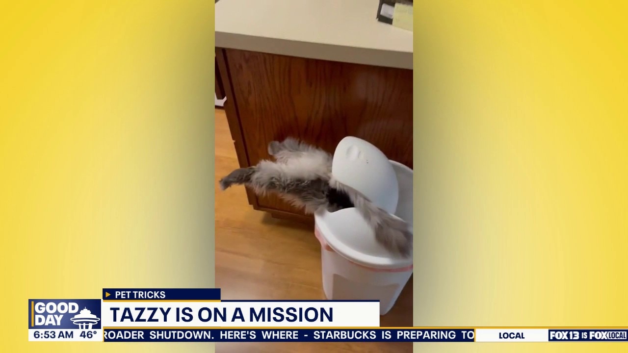 Good Day Pet Tricks for Monday, Sept. 28