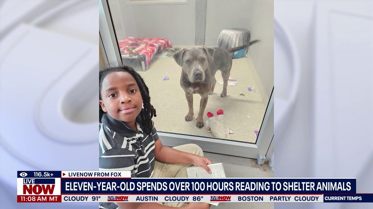 eleven-year-old spends 100 hours reading to shelter animals
