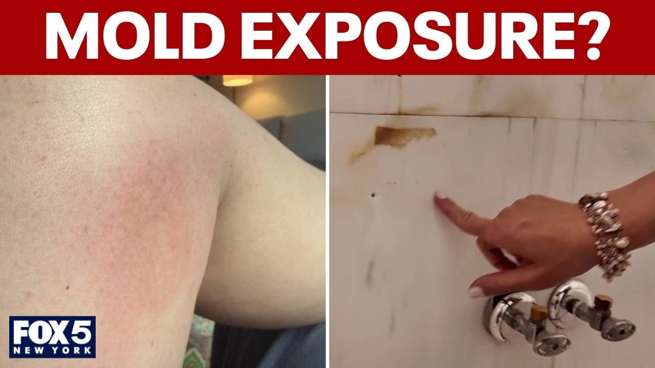 EXCLUSIVE: Tenants battle landlord over apartment conditions