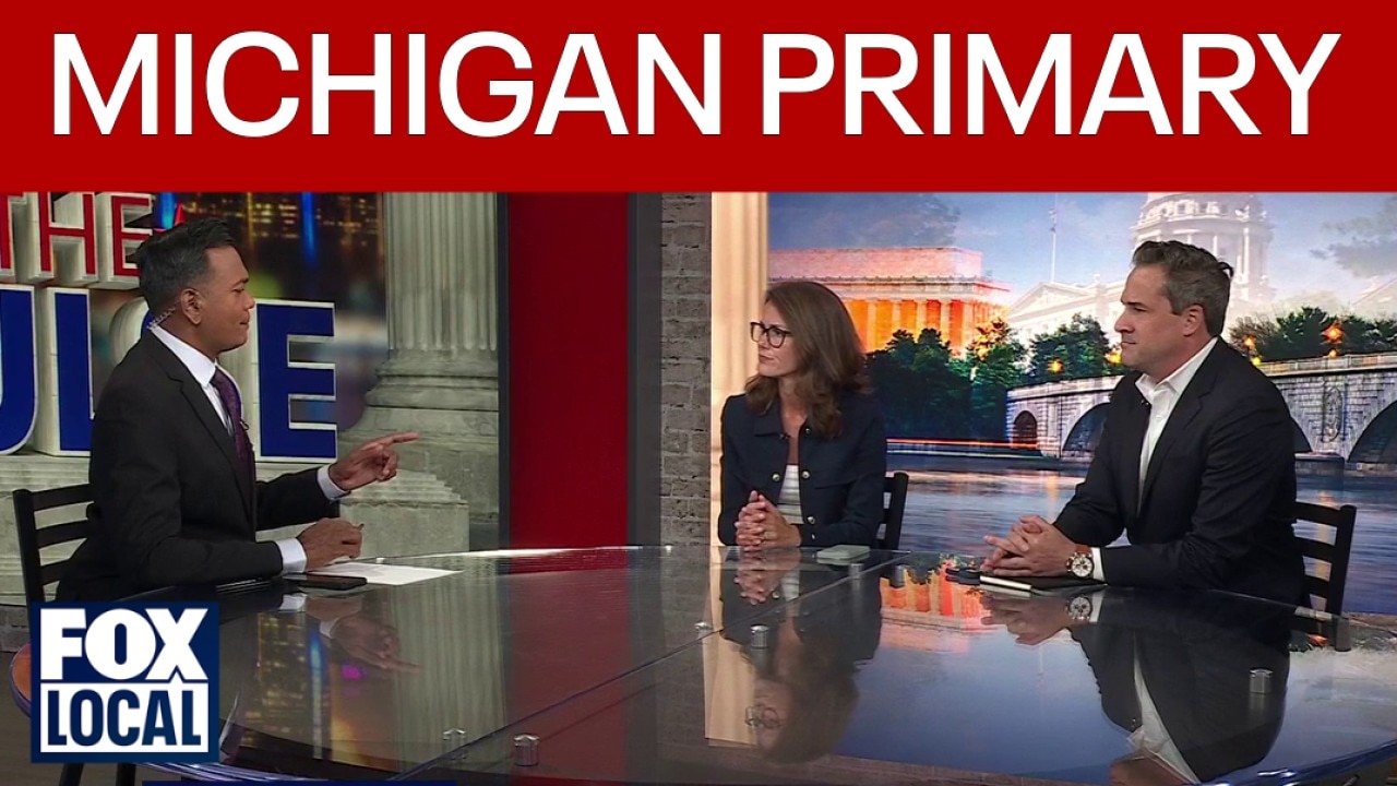 Michigan primary: What's at stake in senate, governor races