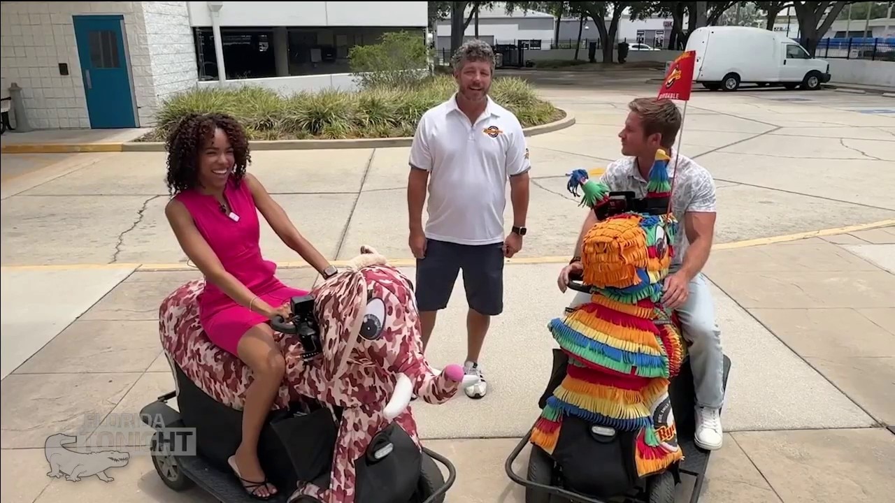 Animal adventures with Tampa Rydables