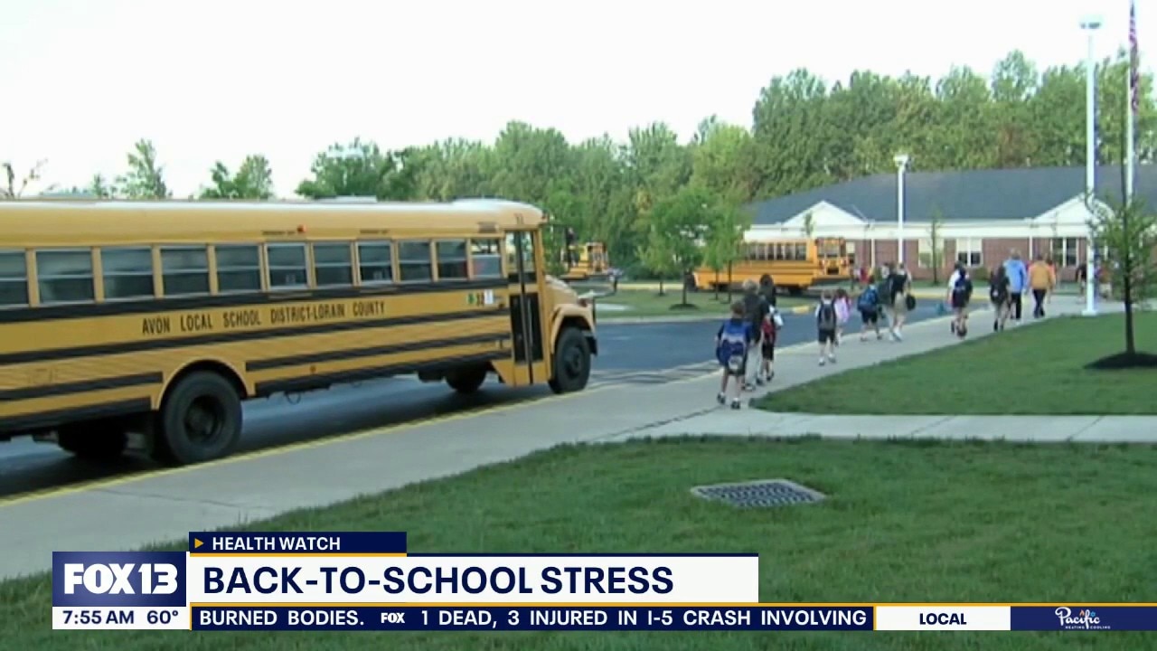 Back to school anxiety: The three D's to watch out for