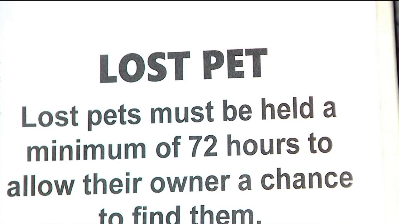 Finding your lost pets after the 4th of July