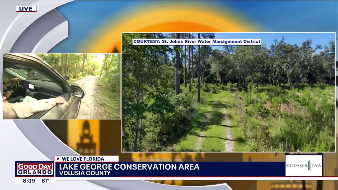 Scenic drive through Lake George Conservation Area