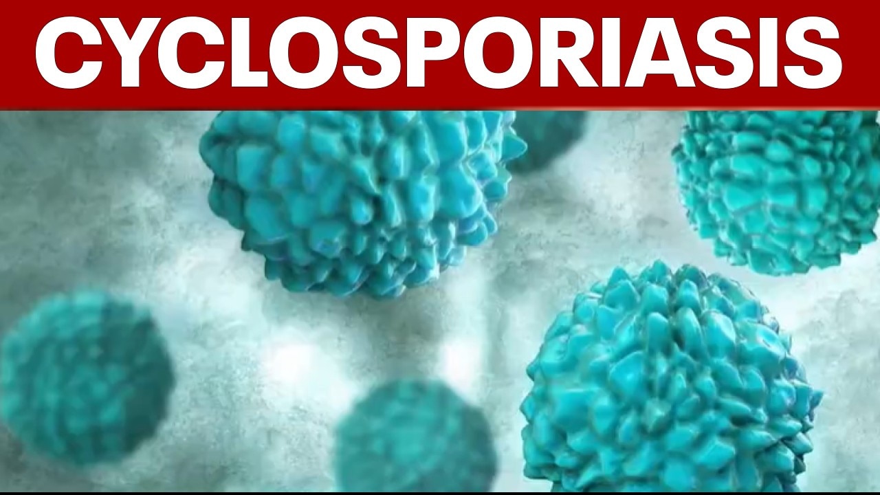 Cyclosporiasis infections rising: What to know