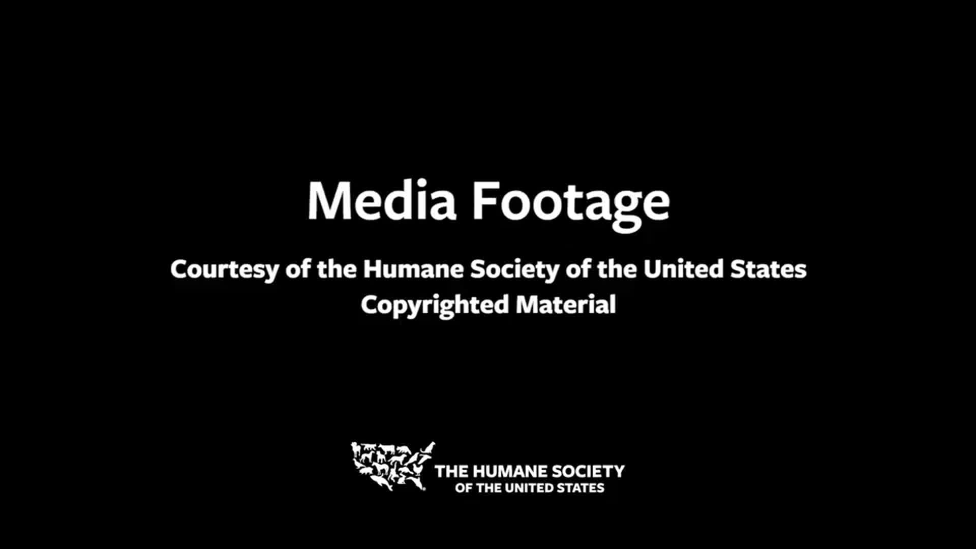 Tyson explores Texas sanctuary (VIDEO: Humane Society of the United States)