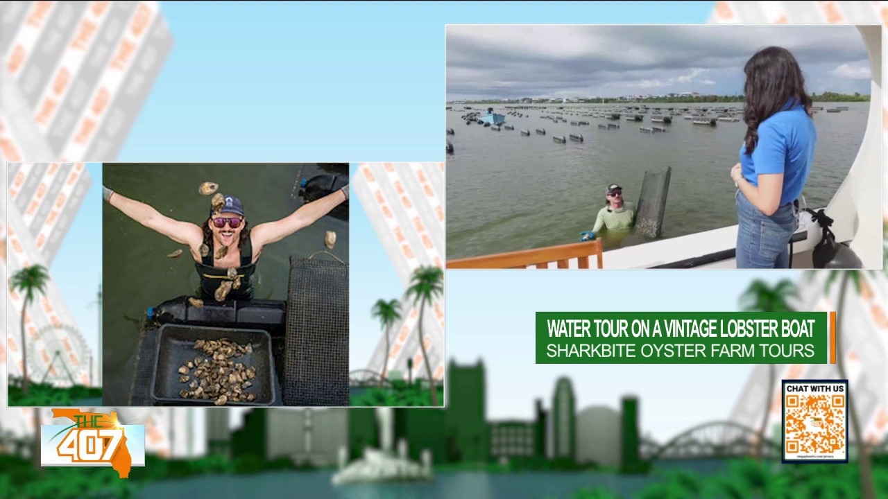 Climb aboard the Narwhal for a hands-on SharkBite Oysters farm tour in New Smyrna Beach