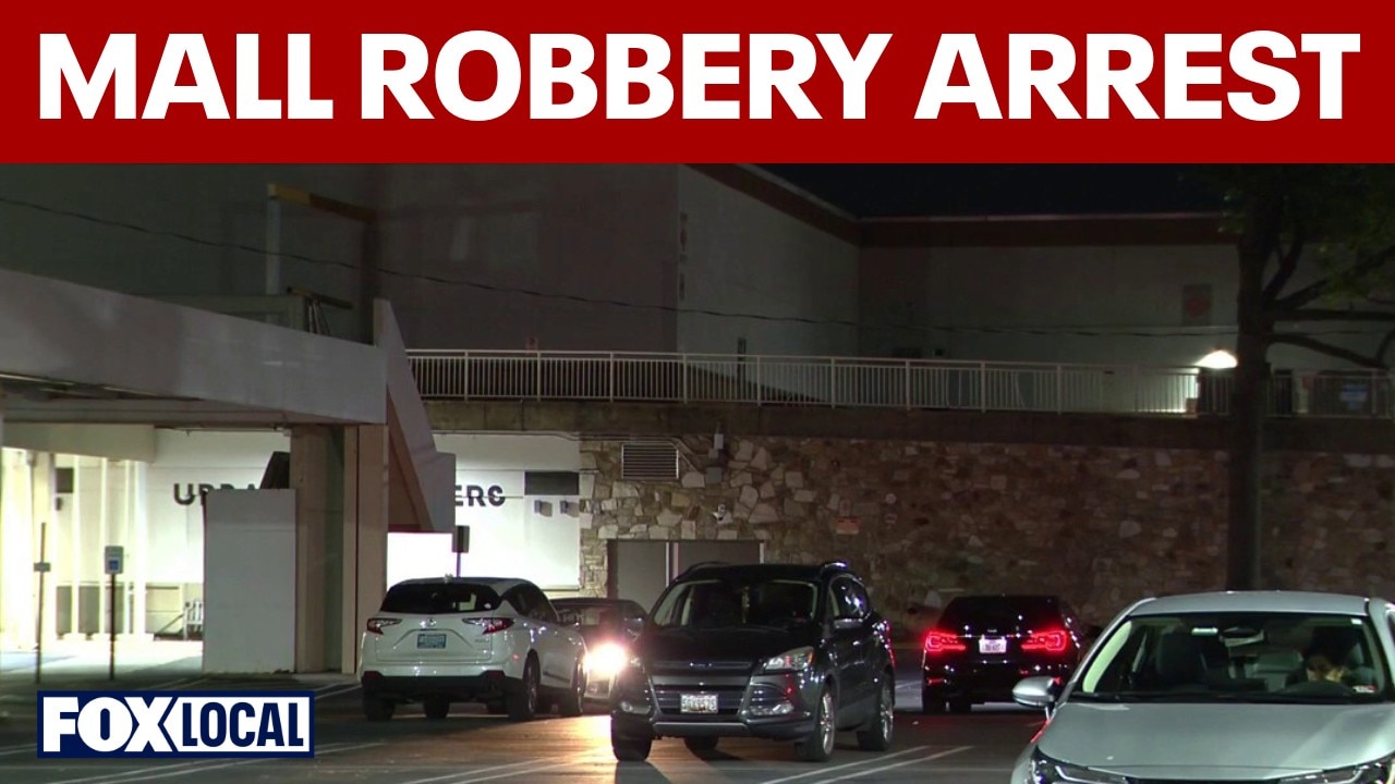 Suspect accused of mall robbery, assaulting officers held without bond