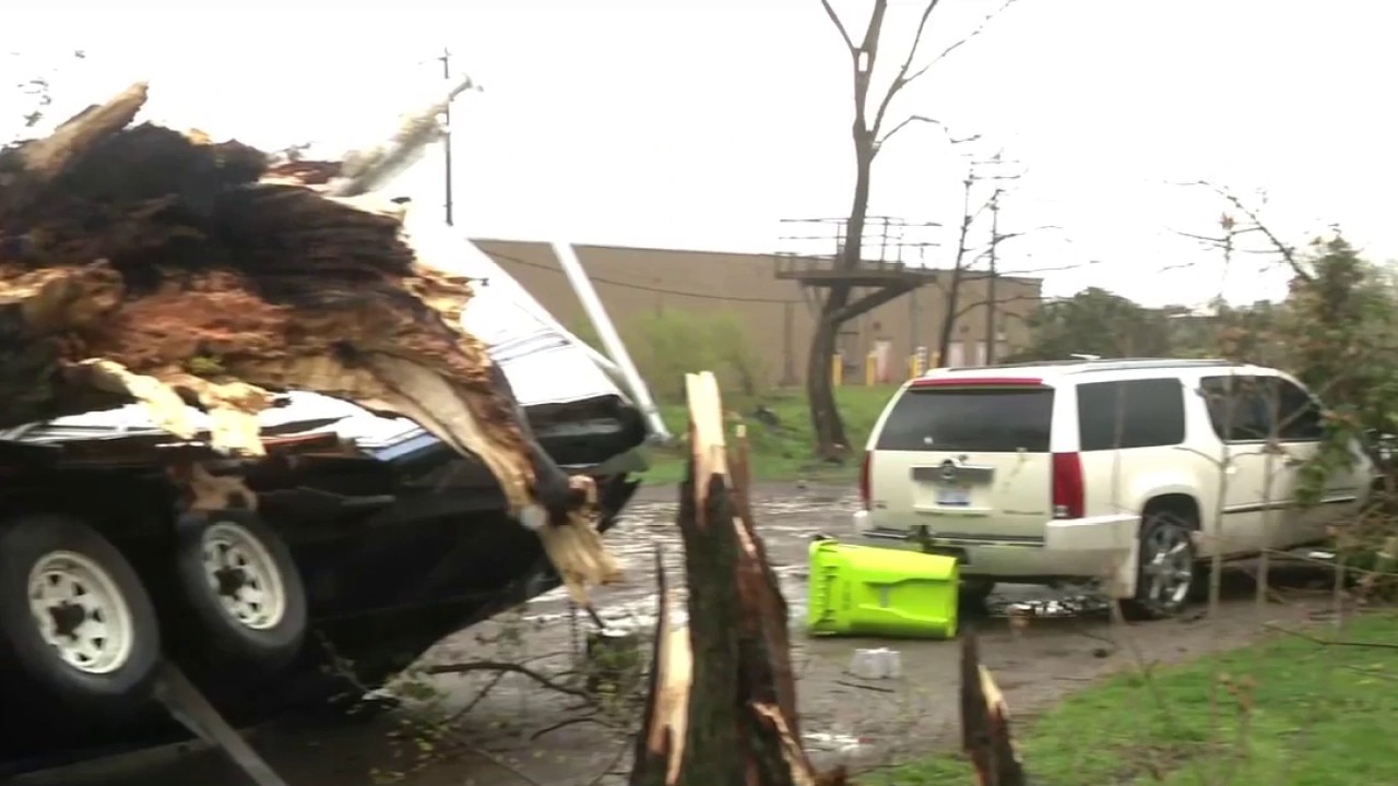 Lincoln Park storm damage: Snapped trees, crushed vehicles