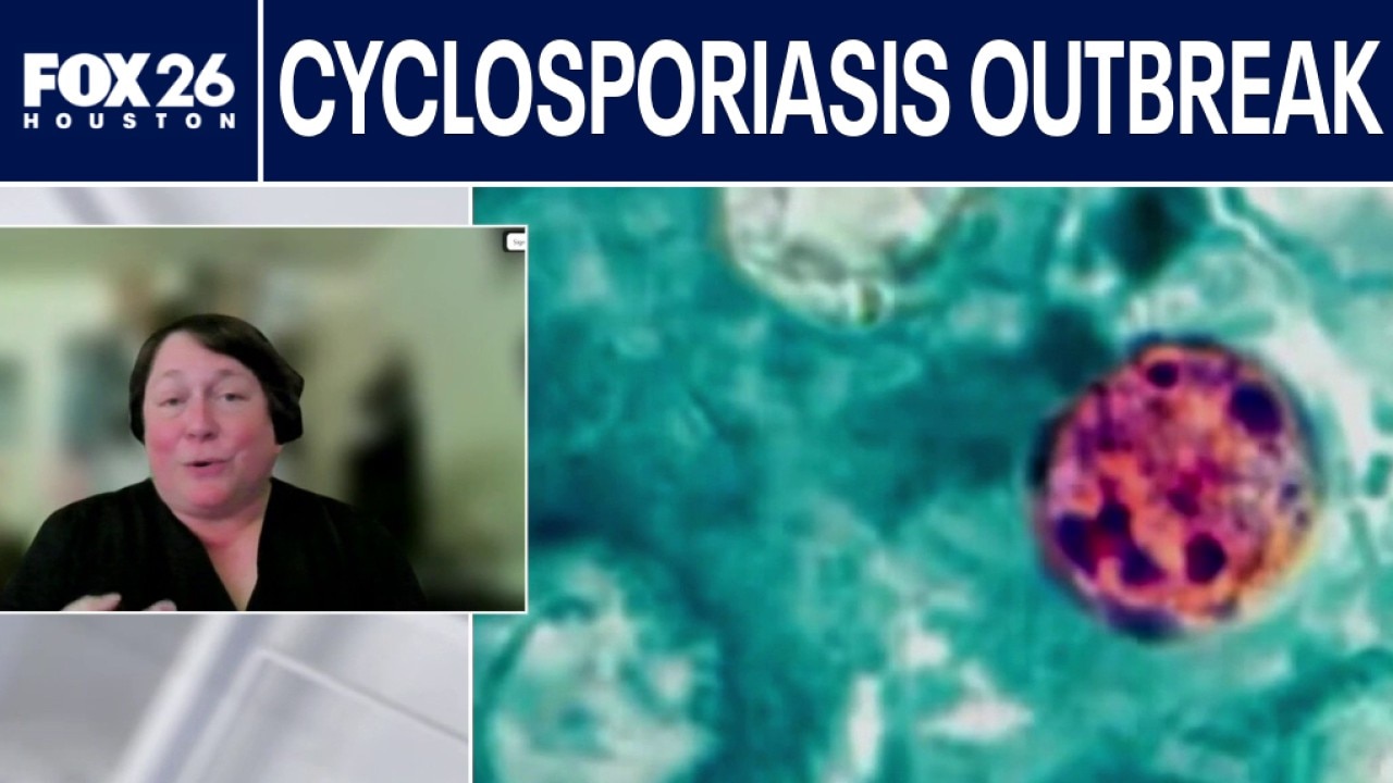Are you still concerned by Cyclosporiasis?