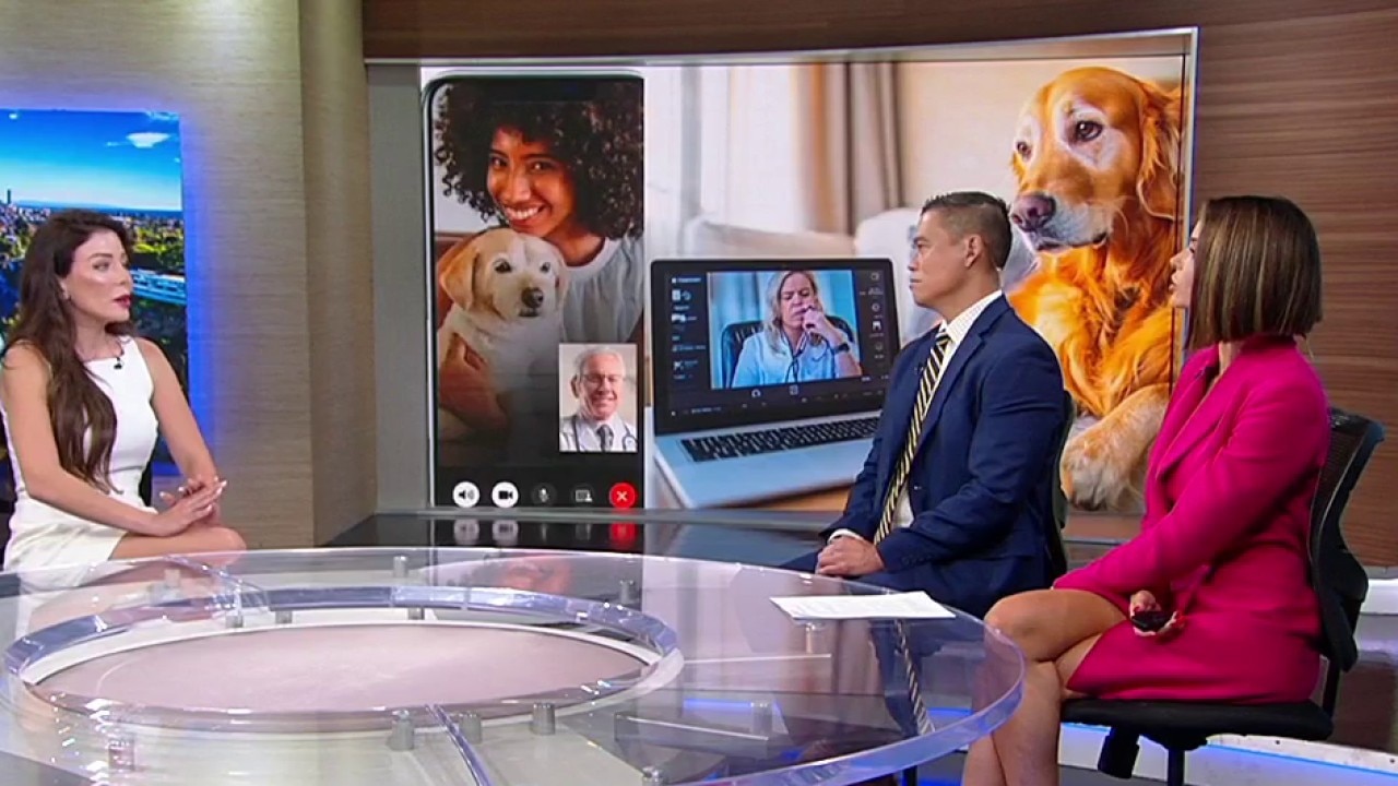 Telavets.com founder explains virtual medicine for your pet