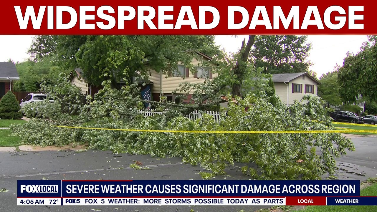 Severe storms leave widespread damage across DC region | FOX 5 AT 6AM