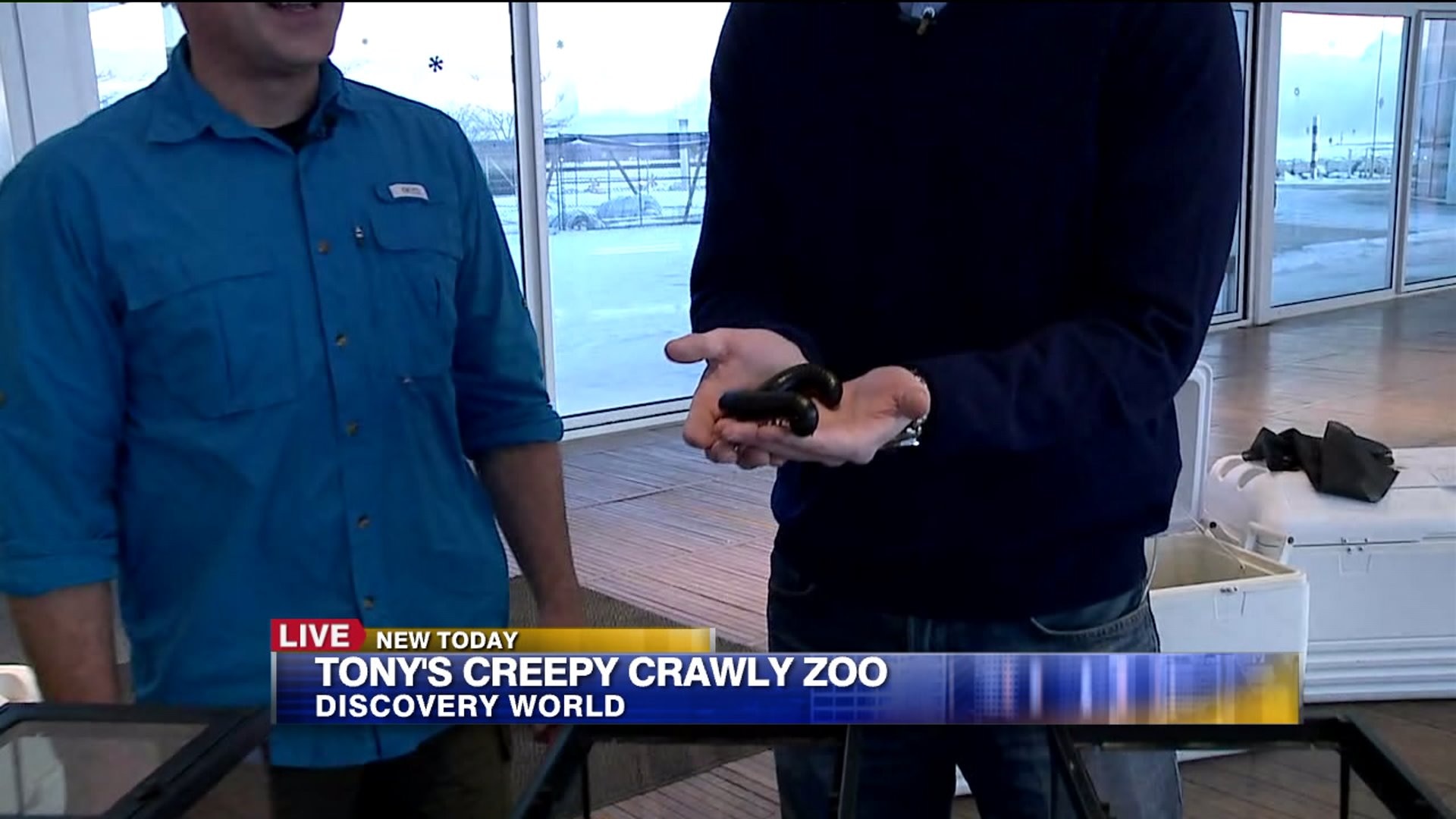 Creepy Crawly Zoo