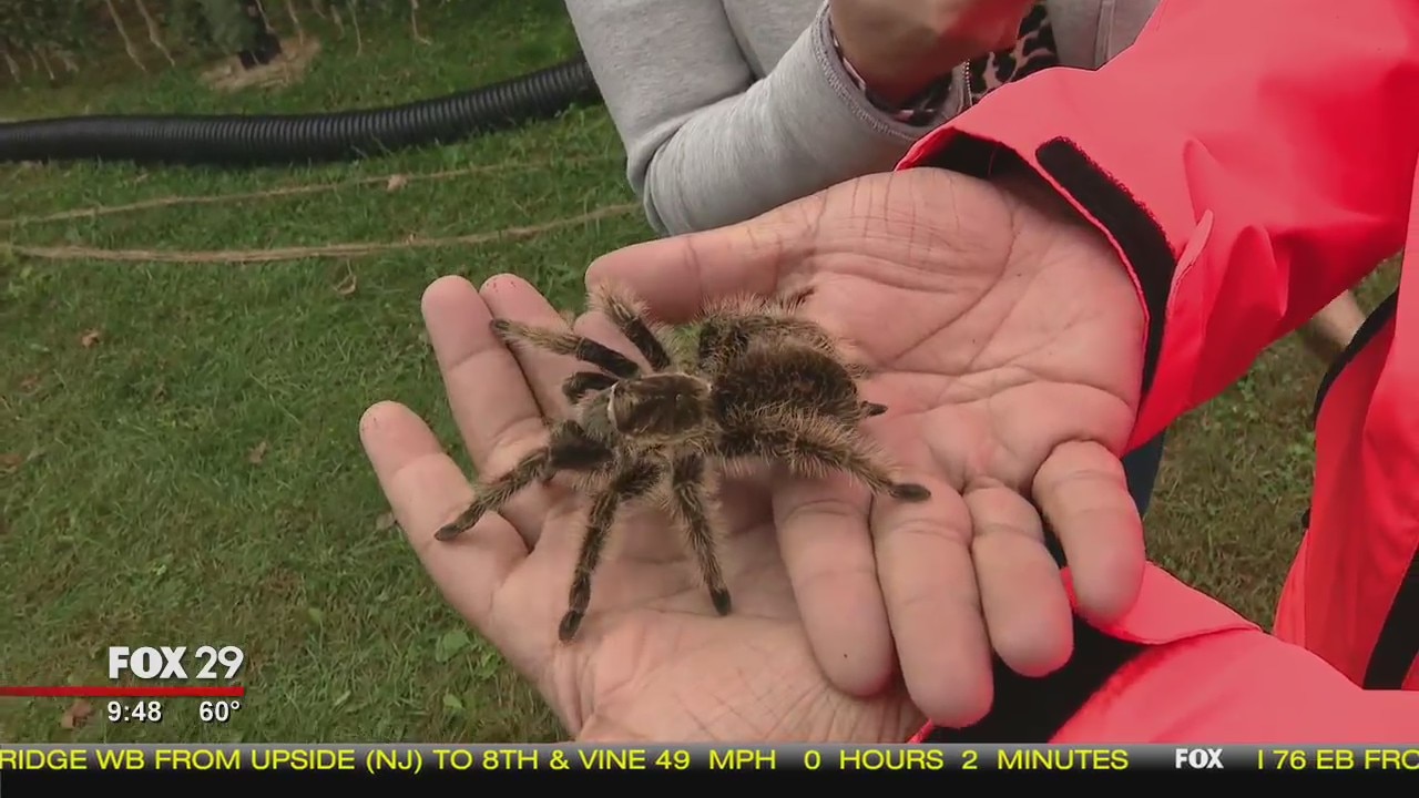 Six Flag Fright Fest's creepy animals