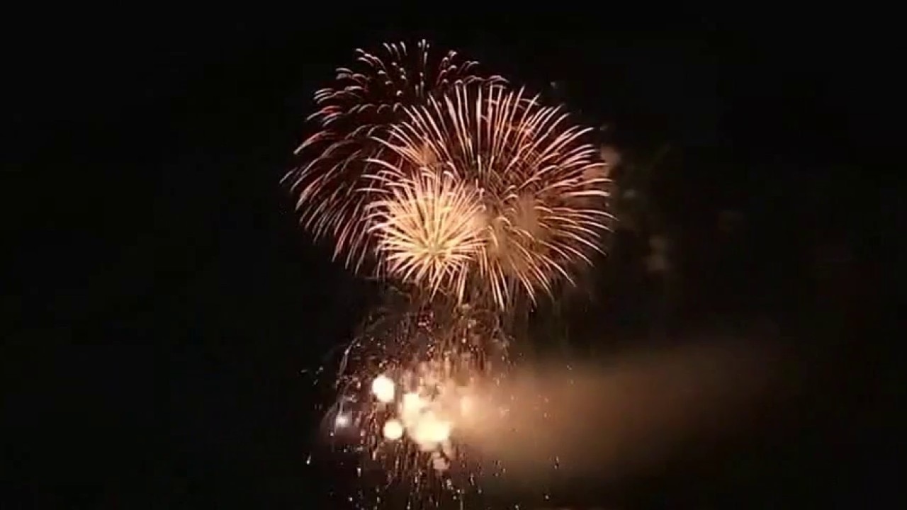 Firework Safety: Protecting Your Furry Friends