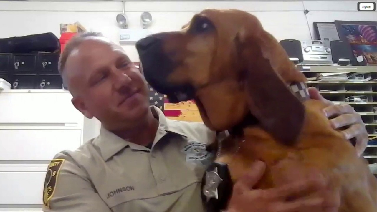 K9 AJ helps find missing child in happy ending
