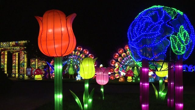 China Lights