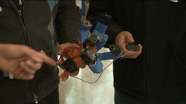 Chip enjoys some unique science fair projects