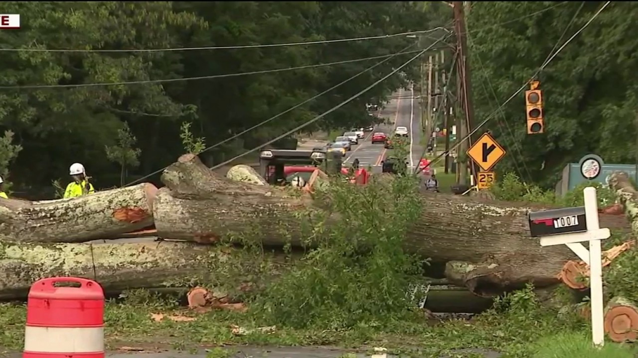 Tree takes down power lines on Cascade Avenue