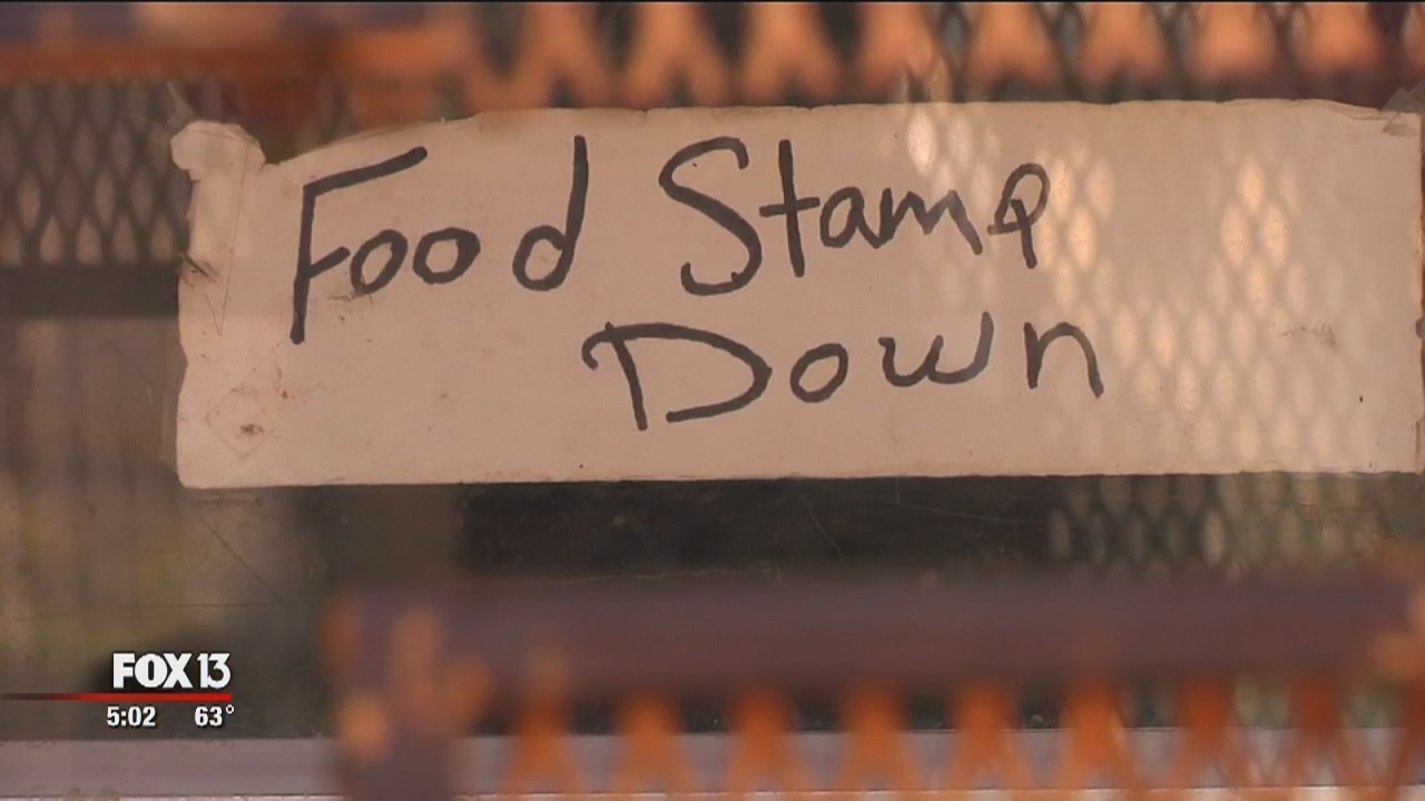 St. Pete EBT fraud ring