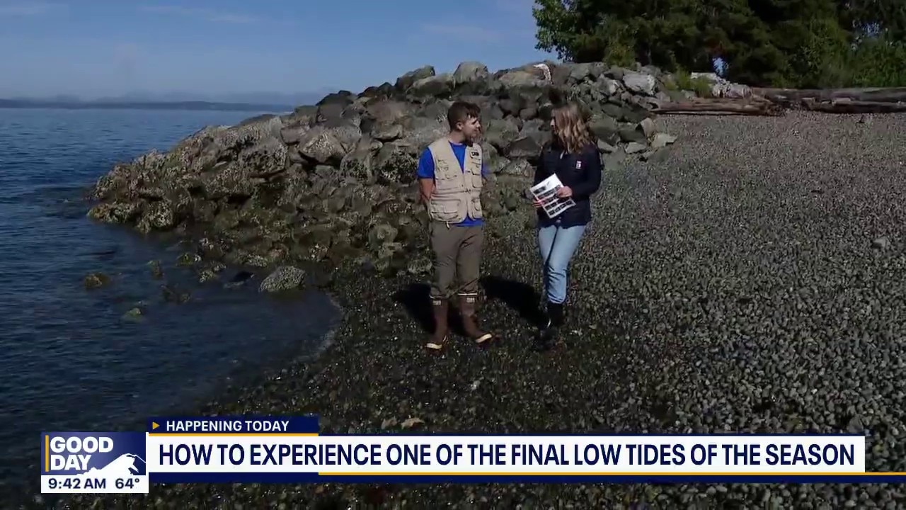 Final Washington low tides of the season
