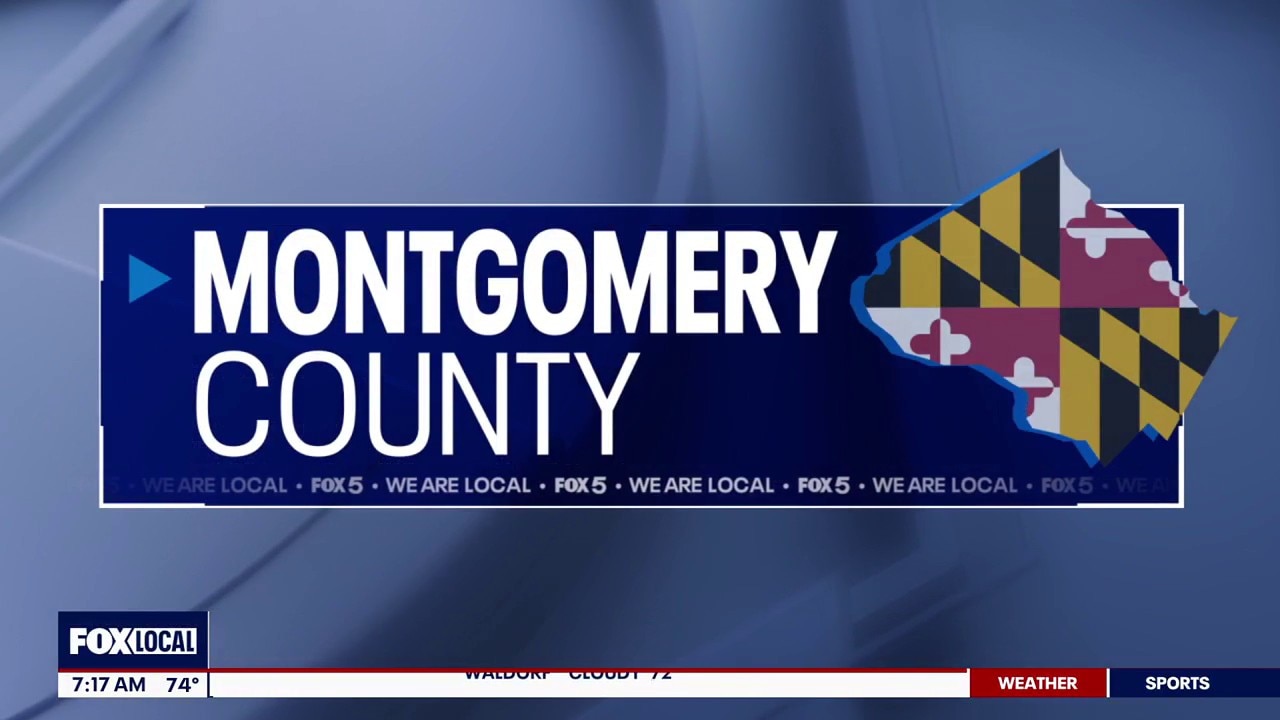 Annual Older Adults Safety Forum Preview