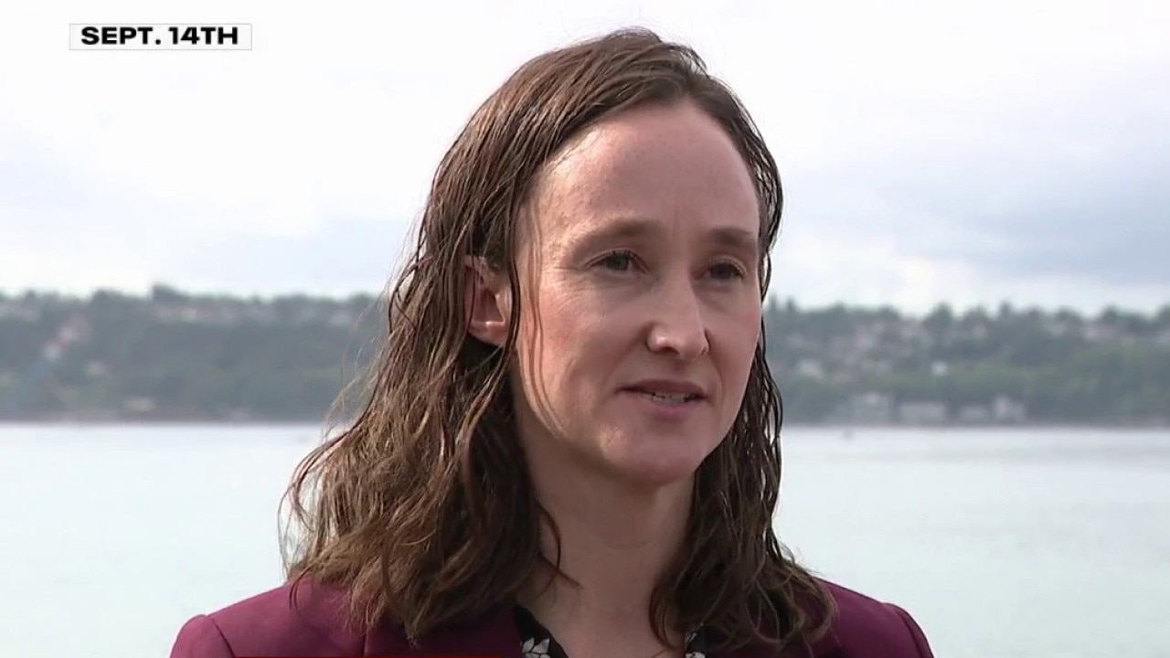Mayor Wilson releases gun violence reduction plan for Seattle