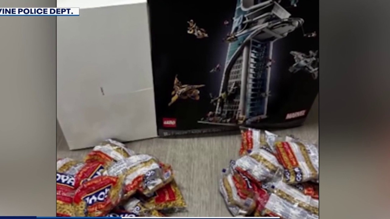 Suspected serial Lego thief caught 