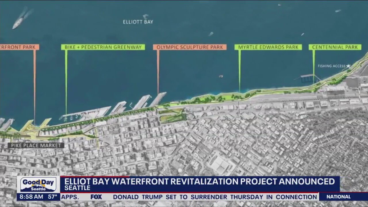 Elliot Bay waterfront revitalization project
