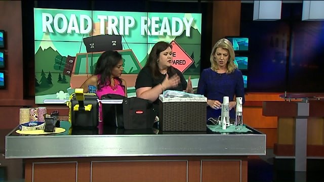 Just in time for the summer travel season: Tips on organizing your vehicle
