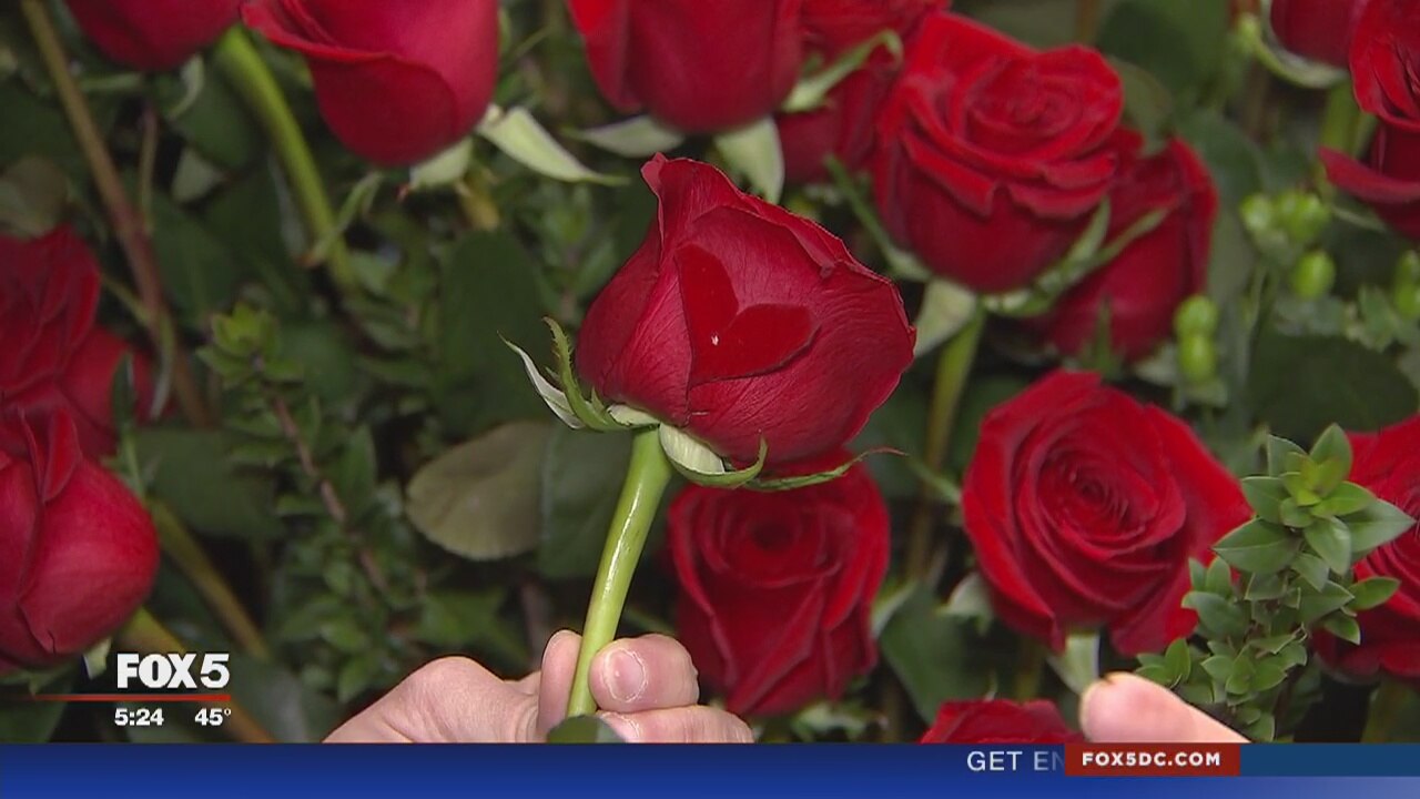Heart-shaped rose petal is a Valentine's Day surprise