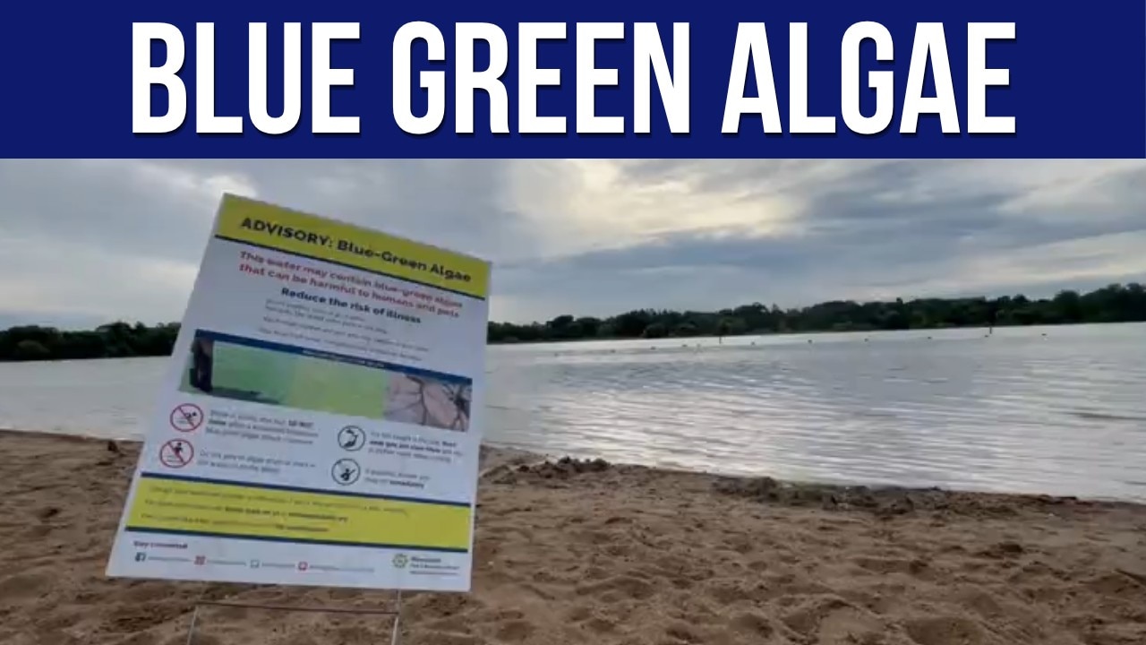 Blue-green algae advisories at Minneapolis beaches
