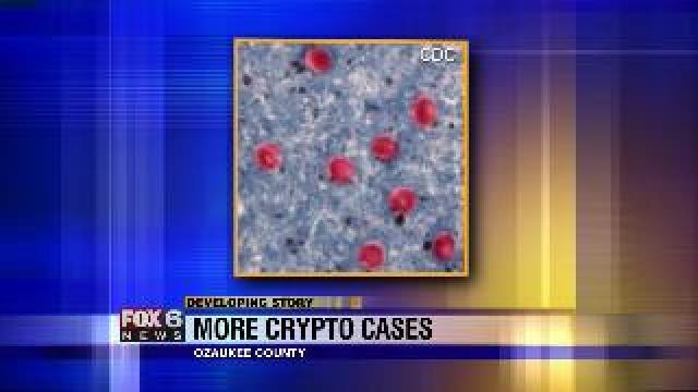 More crypto cases along North Shore