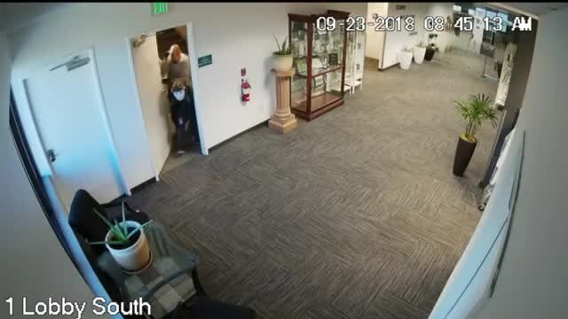DSHS burglary surveillance video