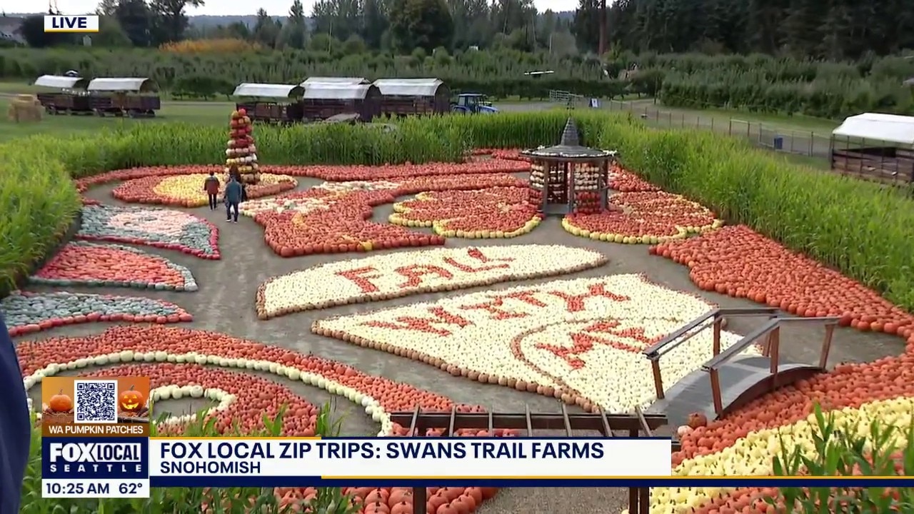 FOX Local Pumpkin Patch Zip Trips: Swans Trail Farms