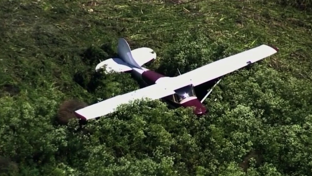Small plane lands in Livermore vegetation