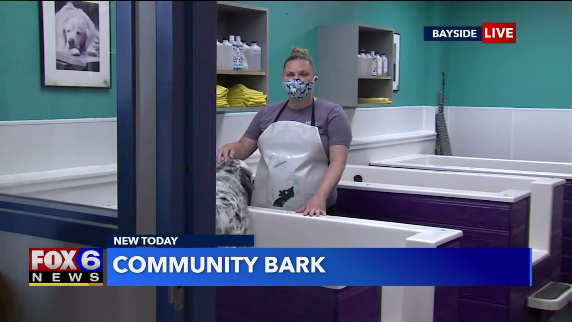 Community Bark