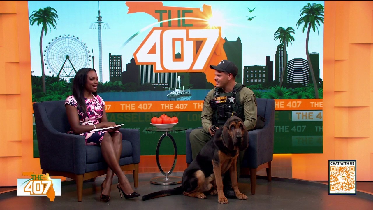 Meet Valor: Osceola County’s Newest Four-Legged Deputy