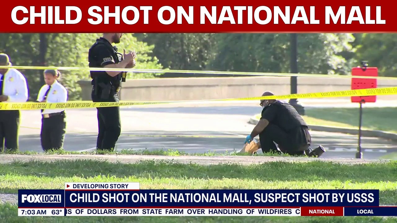 Child shot on the National Mall
