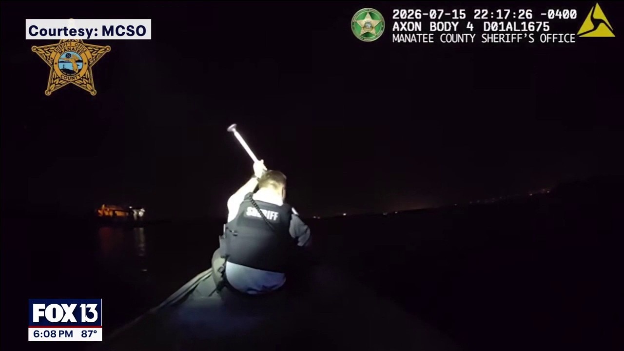 Stolen car chase ends in water rescue