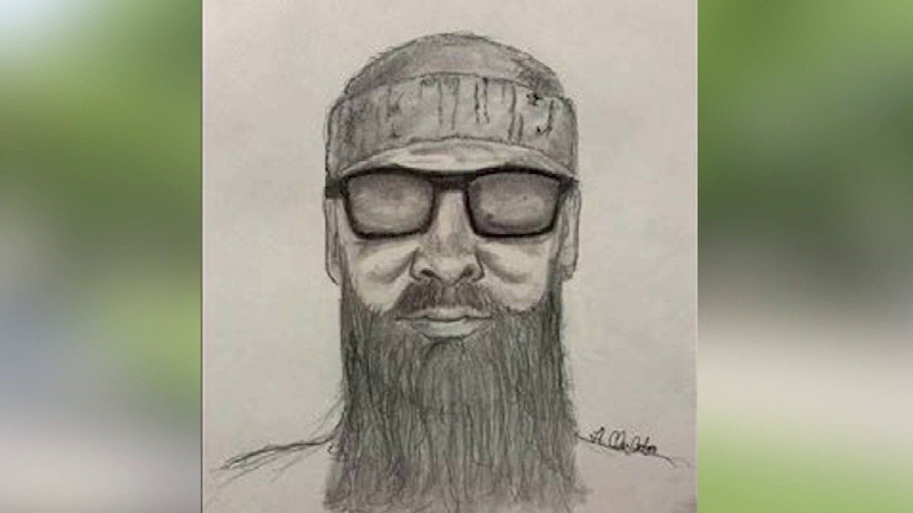 Worries after woman sexually assaulted at Chicago forest preserve: 'That's scary'