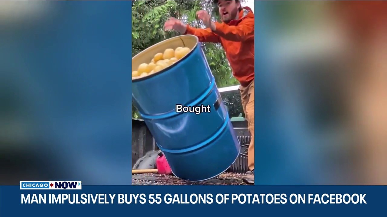 Man buys 55 gallons of potatoes on Facebook, turns front yard into farm | ChicagoNOW