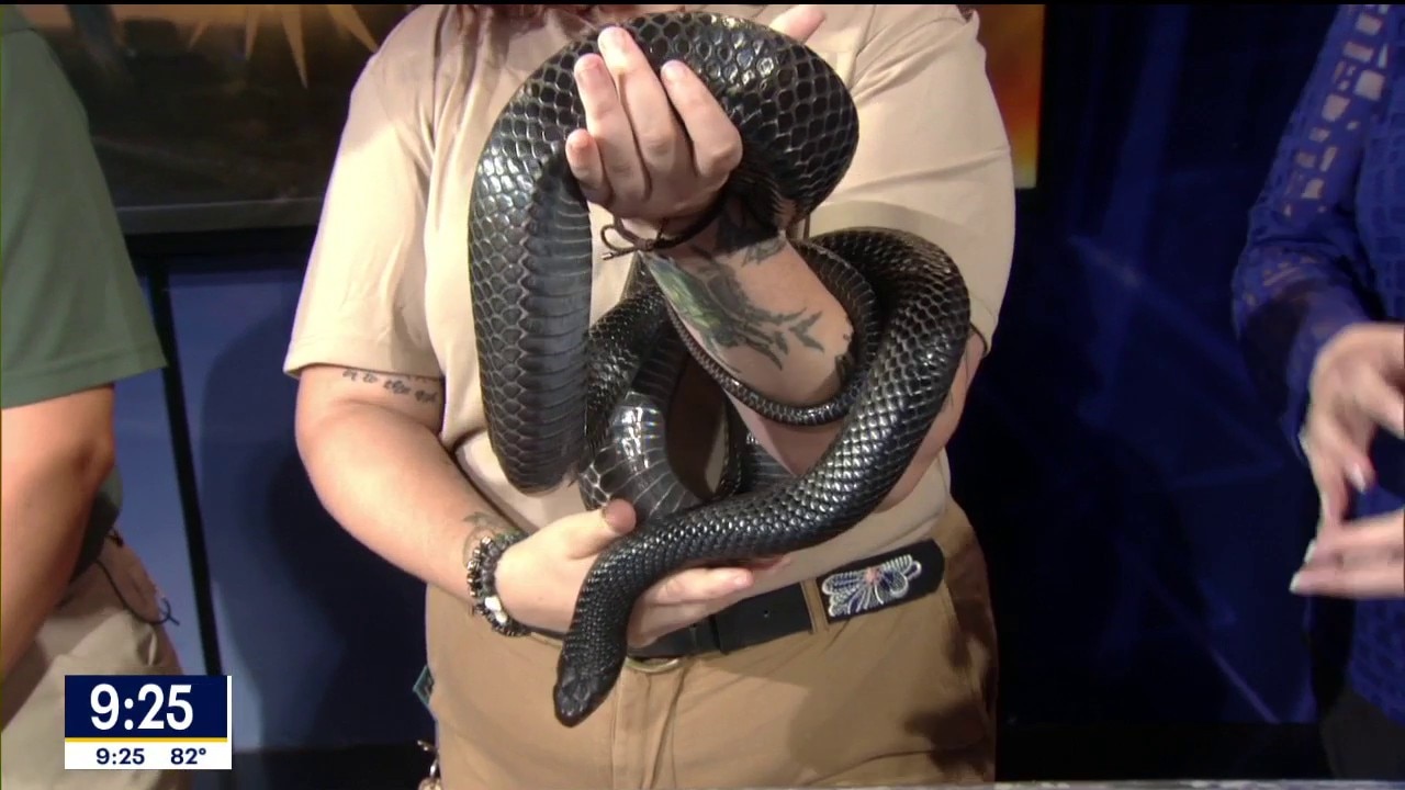 Fort Worth Zoo celebrates National Zookeepers Week